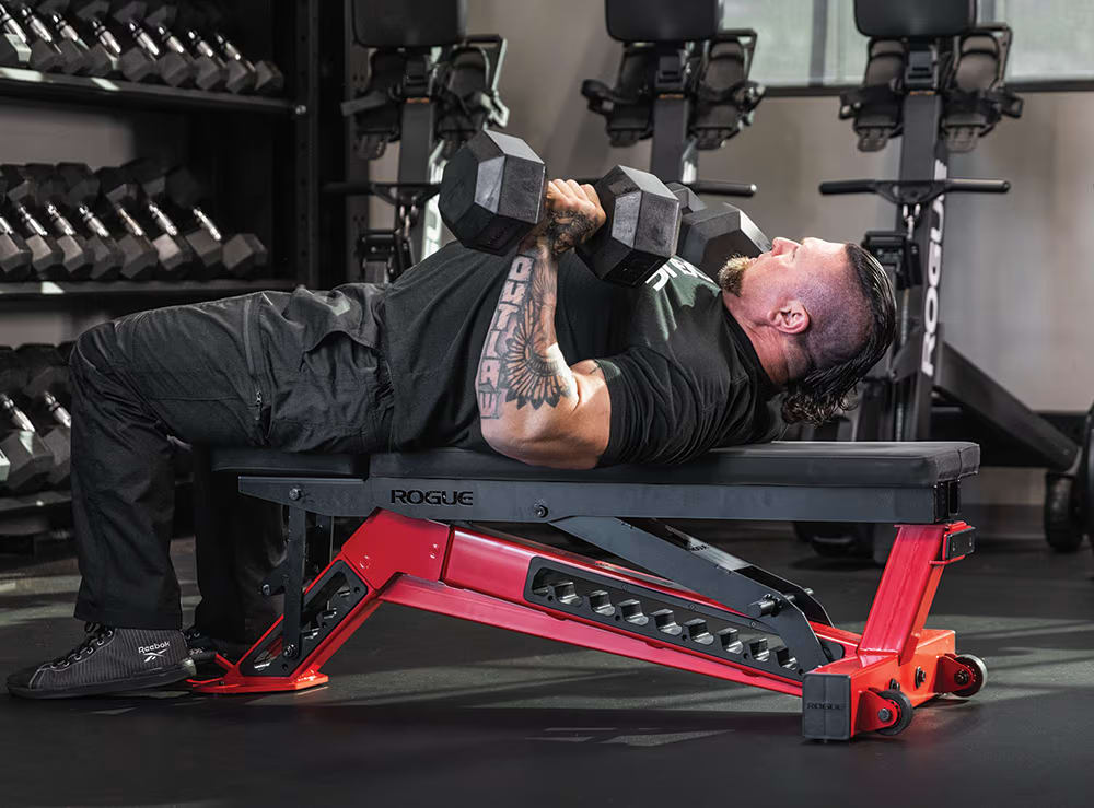 ローグ　roguefitness rogue カラー Rogue Fitness - Strength & Conditioning Equipment